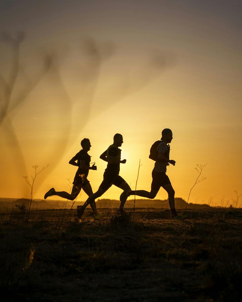 Cross training program