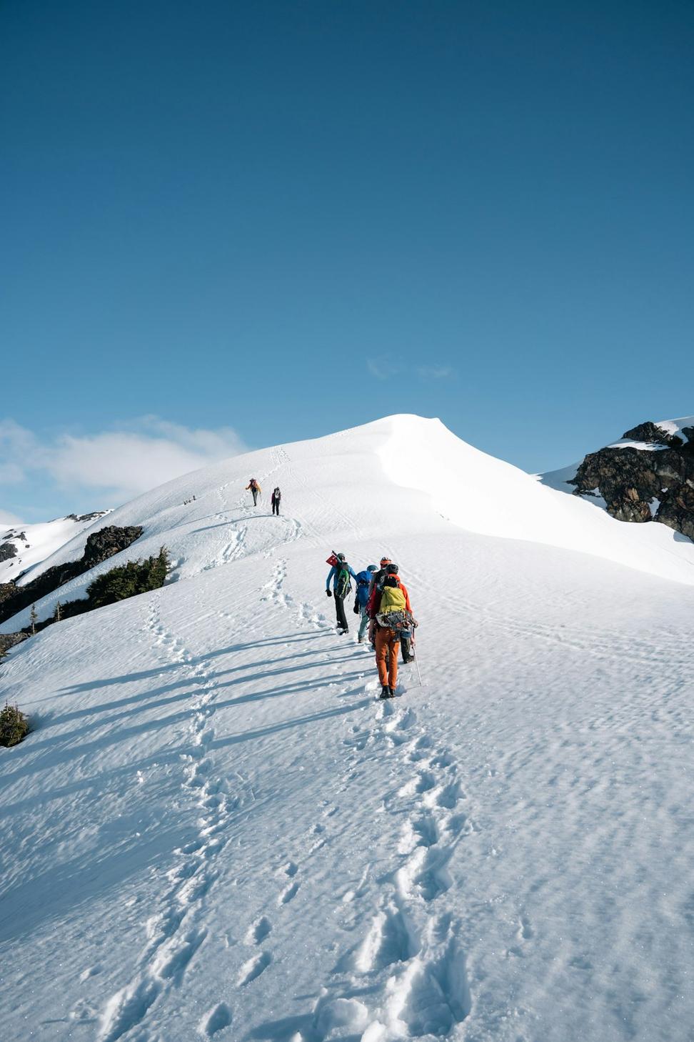 Runners on scenic Canadian trails